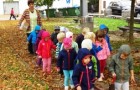 Oktober pri Zajčkih