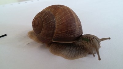 20160411_085415