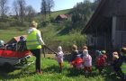 PTIČKI V POMLADI